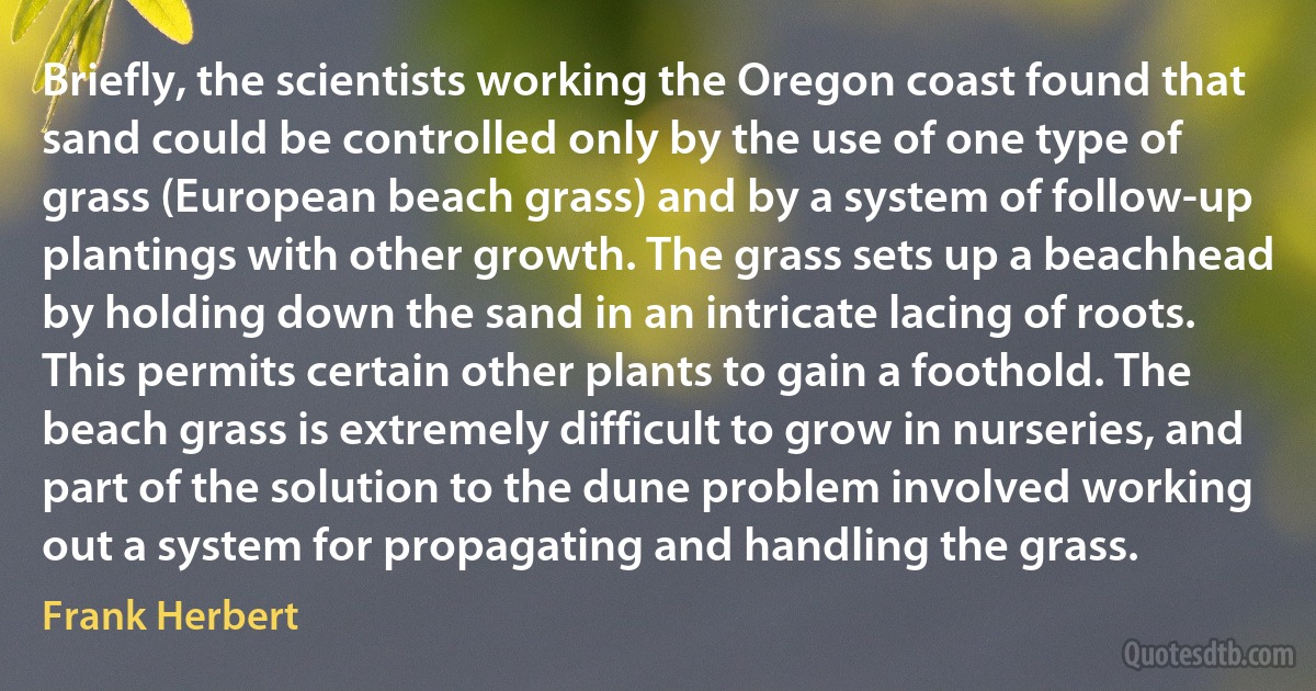 Briefly, the scientists working the Oregon coast found that sand could be controlled only by the use of one type of grass (European beach grass) and by a system of follow-up plantings with other growth. The grass sets up a beachhead by holding down the sand in an intricate lacing of roots. This permits certain other plants to gain a foothold. The beach grass is extremely difficult to grow in nurseries, and part of the solution to the dune problem involved working out a system for propagating and handling the grass. (Frank Herbert)