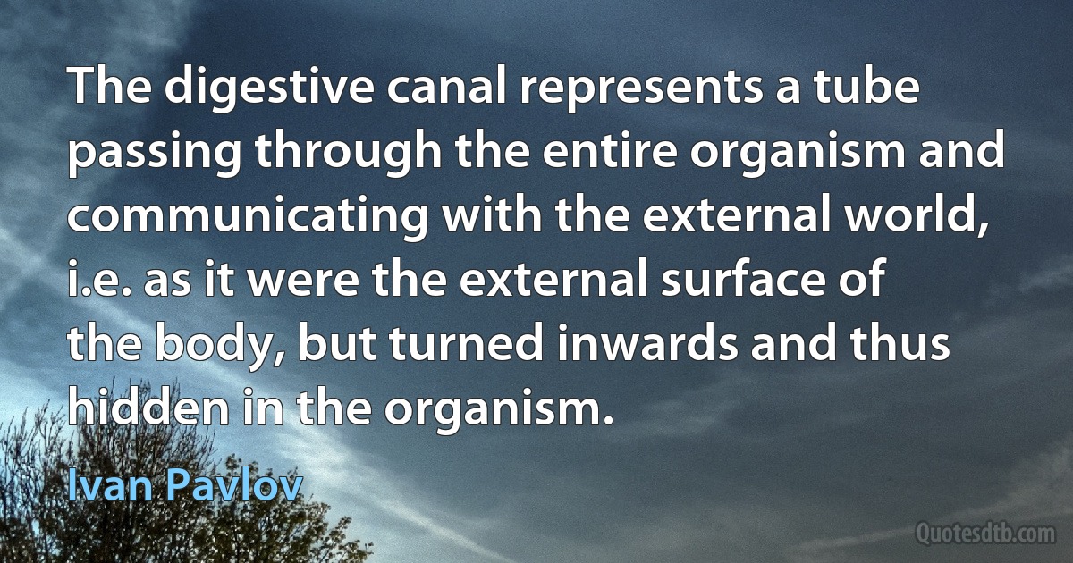 The digestive canal represents a tube passing through the entire organism and communicating with the external world, i.e. as it were the external surface of the body, but turned inwards and thus hidden in the organism. (Ivan Pavlov)