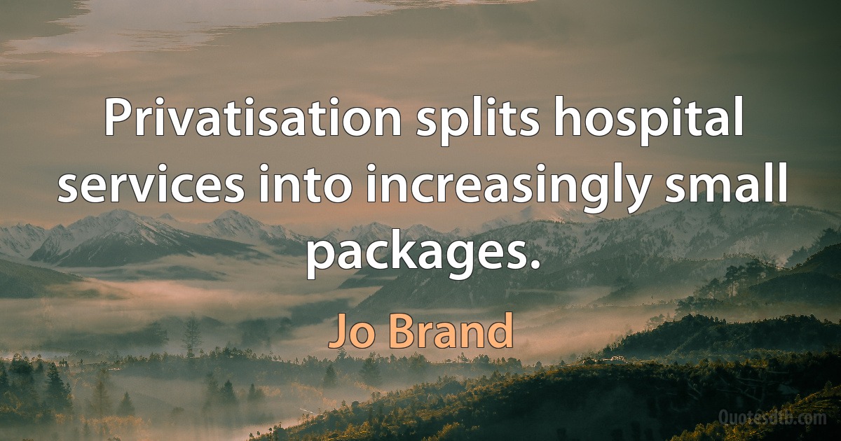 Privatisation splits hospital services into increasingly small packages. (Jo Brand)