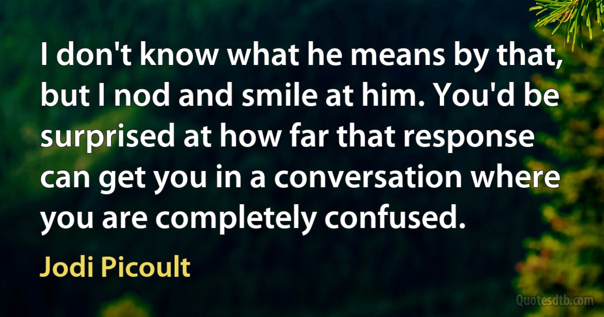 I don't know what he means by that, but I nod and smile at him. You'd be surprised at how far that response can get you in a conversation where you are completely confused. (Jodi Picoult)