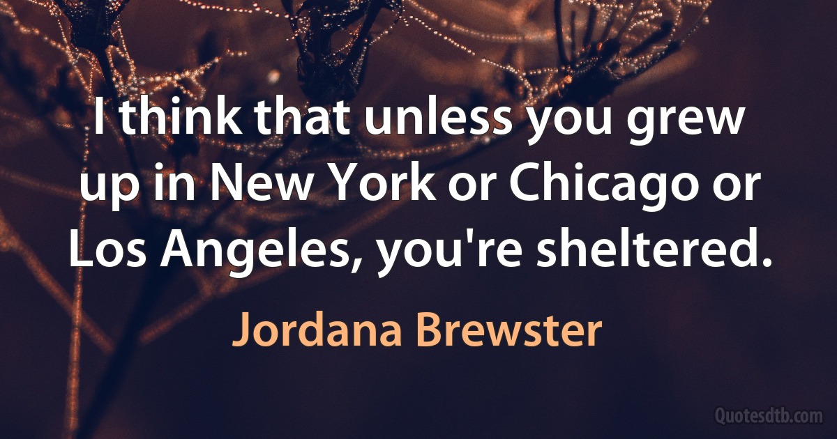 I think that unless you grew up in New York or Chicago or Los Angeles, you're sheltered. (Jordana Brewster)