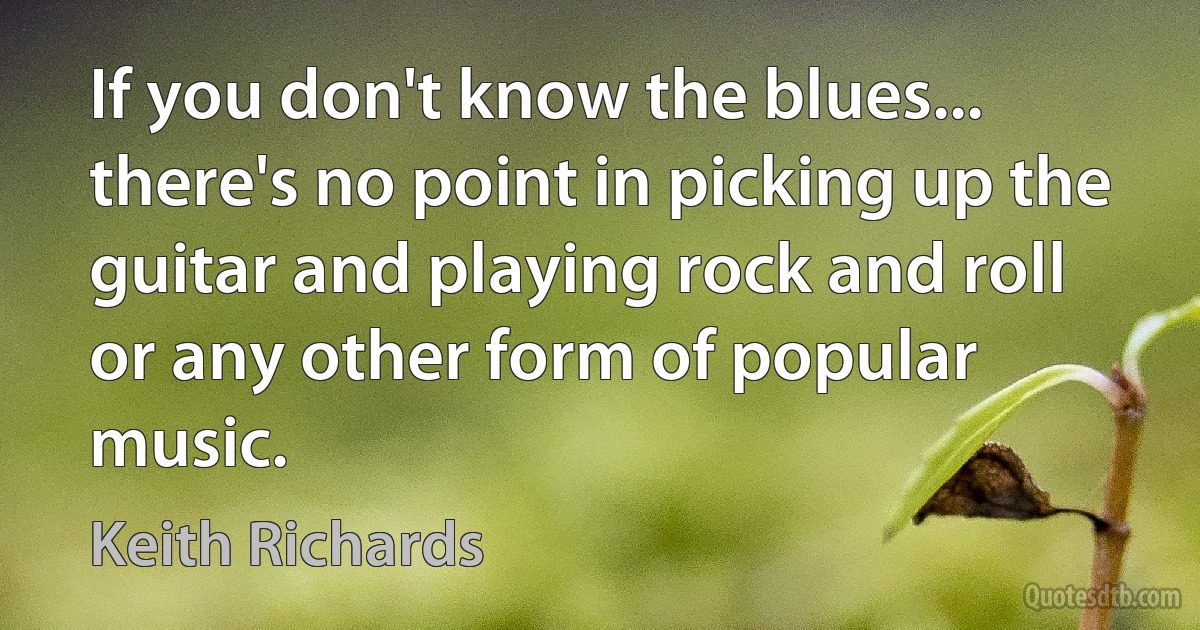 If you don't know the blues... there's no point in picking up the guitar and playing rock and roll or any other form of popular music. (Keith Richards)