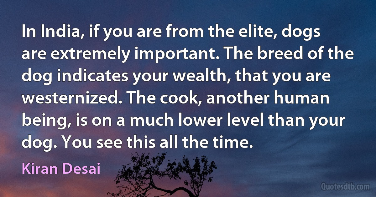 In India, if you are from the elite, dogs are extremely important. The breed of the dog indicates your wealth, that you are westernized. The cook, another human being, is on a much lower level than your dog. You see this all the time. (Kiran Desai)