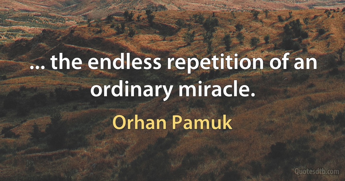 ... the endless repetition of an ordinary miracle. (Orhan Pamuk)