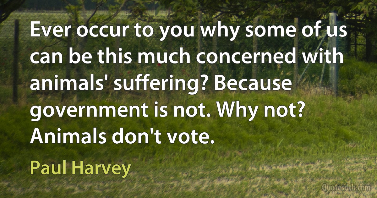 Ever occur to you why some of us can be this much concerned with animals' suffering? Because government is not. Why not? Animals don't vote. (Paul Harvey)