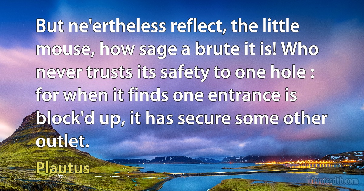 But ne'ertheless reflect, the little mouse, how sage a brute it is! Who never trusts its safety to one hole : for when it finds one entrance is block'd up, it has secure some other outlet. (Plautus)