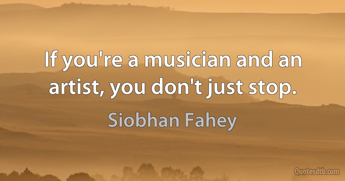 If you're a musician and an artist, you don't just stop. (Siobhan Fahey)