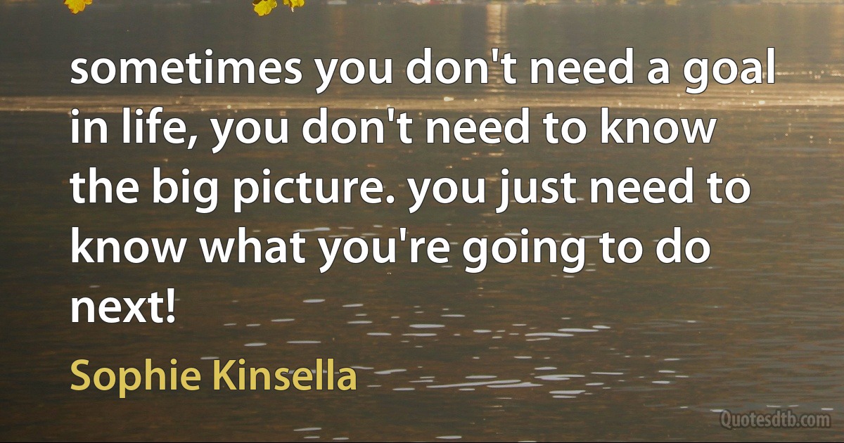 sometimes you don't need a goal in life, you don't need to know the big picture. you just need to know what you're going to do next! (Sophie Kinsella)