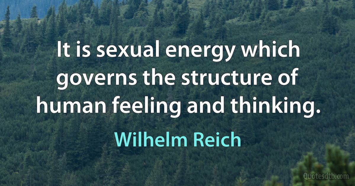 It is sexual energy which governs the structure of human feeling and thinking. (Wilhelm Reich)