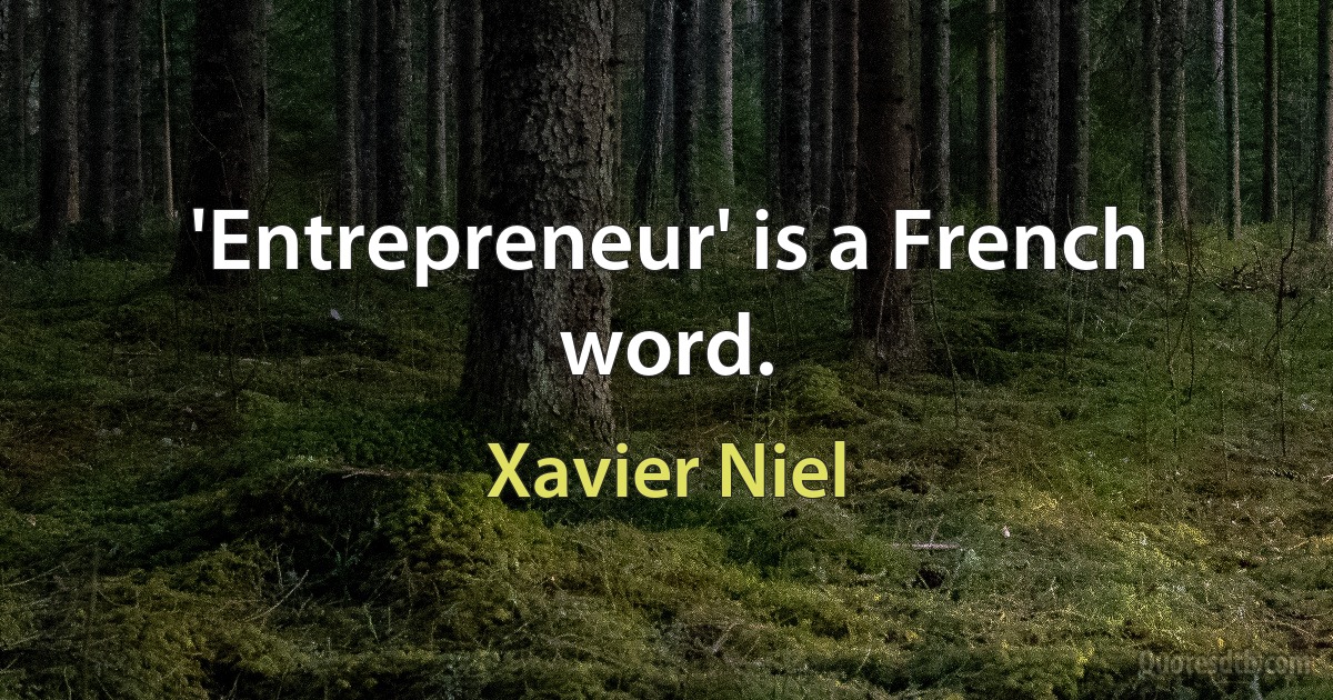 'Entrepreneur' is a French word. (Xavier Niel)