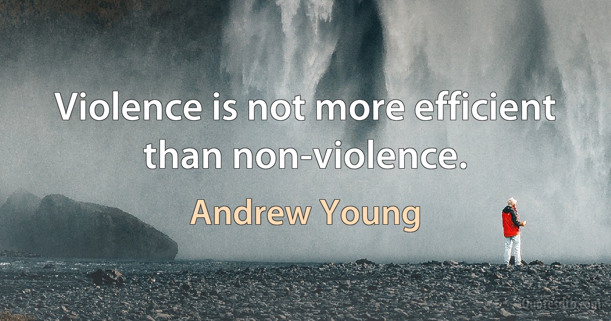 Violence is not more efficient than non-violence. (Andrew Young)