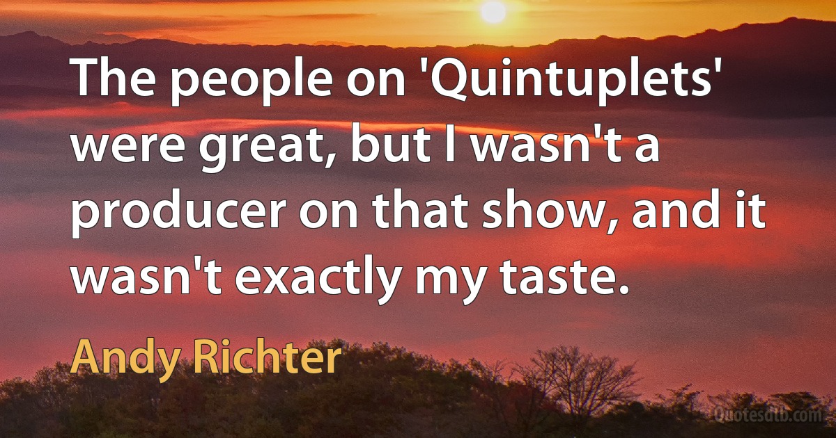 The people on 'Quintuplets' were great, but I wasn't a producer on that show, and it wasn't exactly my taste. (Andy Richter)