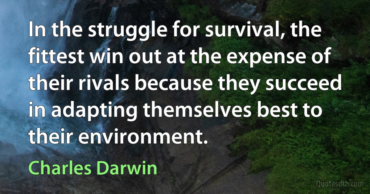 In the struggle for survival, the fittest win out at the expense of their rivals because they succeed in adapting themselves best to their environment. (Charles Darwin)