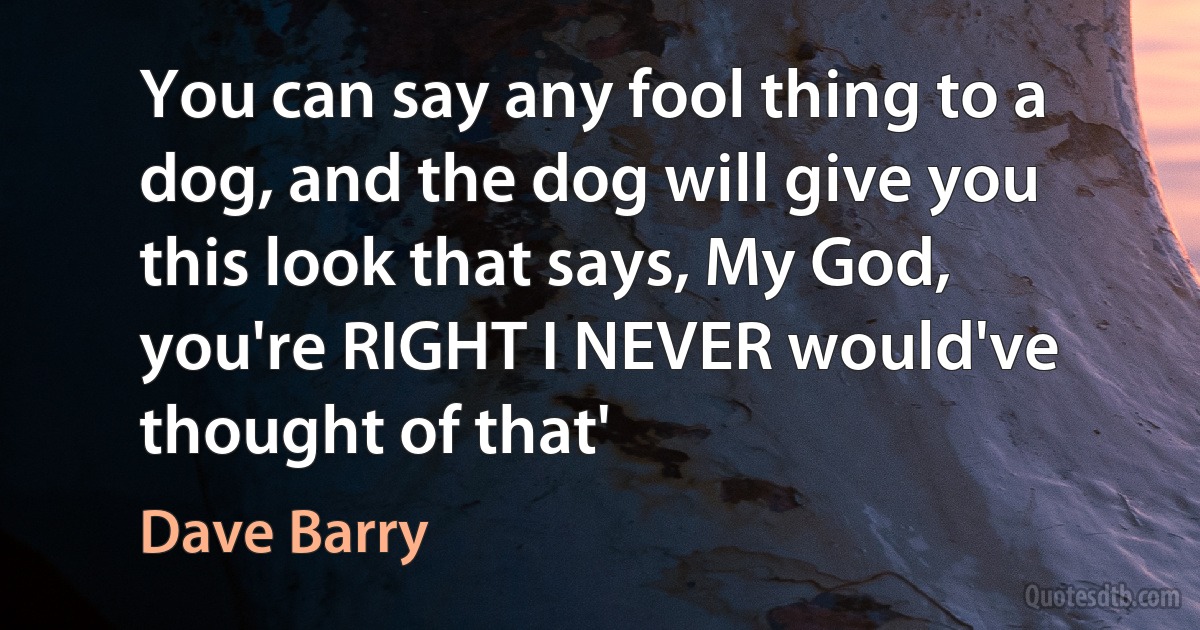 You can say any fool thing to a dog, and the dog will give you this look that says, My God, you're RIGHT I NEVER would've thought of that' (Dave Barry)