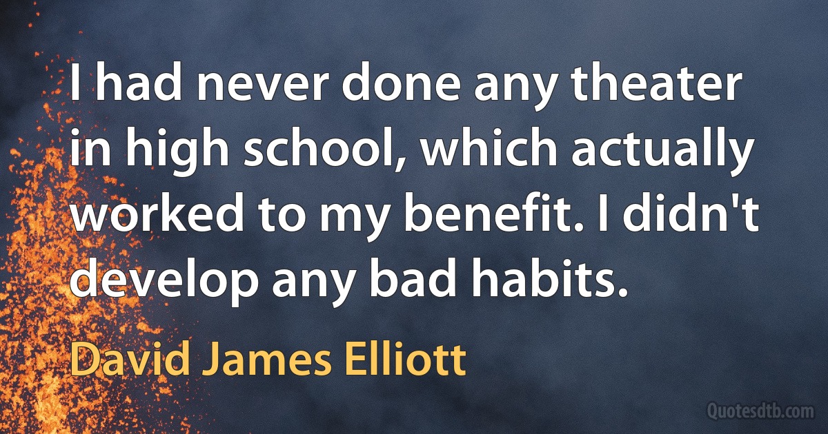 I had never done any theater in high school, which actually worked to my benefit. I didn't develop any bad habits. (David James Elliott)