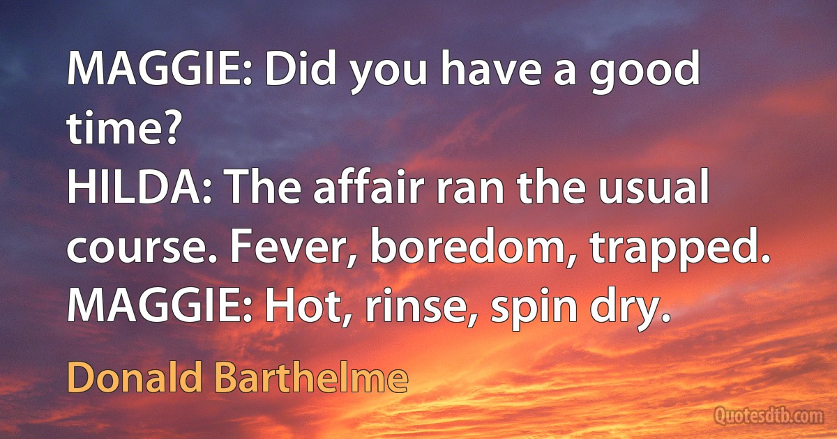 MAGGIE: Did you have a good time?
HILDA: The affair ran the usual course. Fever, boredom, trapped.
MAGGIE: Hot, rinse, spin dry. (Donald Barthelme)