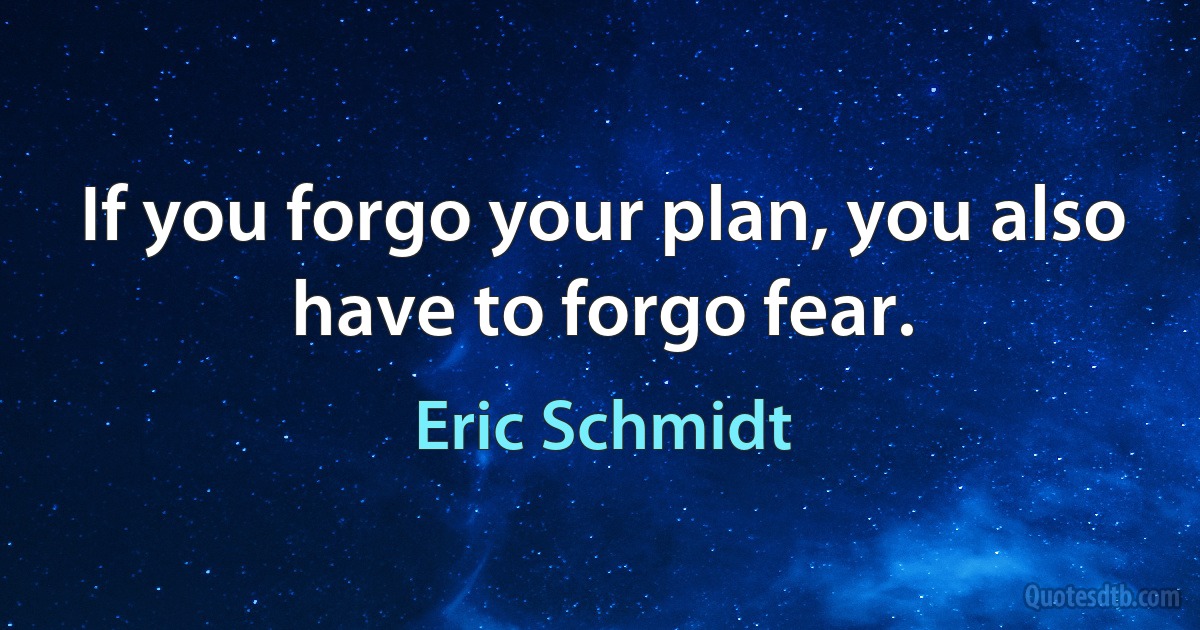 If you forgo your plan, you also have to forgo fear. (Eric Schmidt)