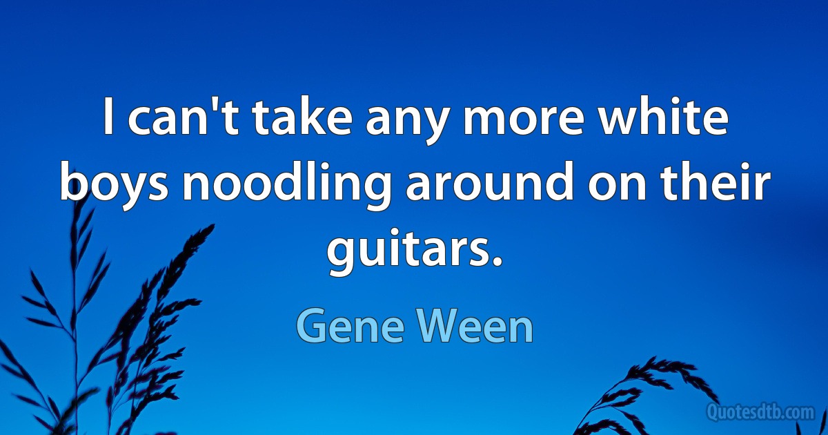 I can't take any more white boys noodling around on their guitars. (Gene Ween)