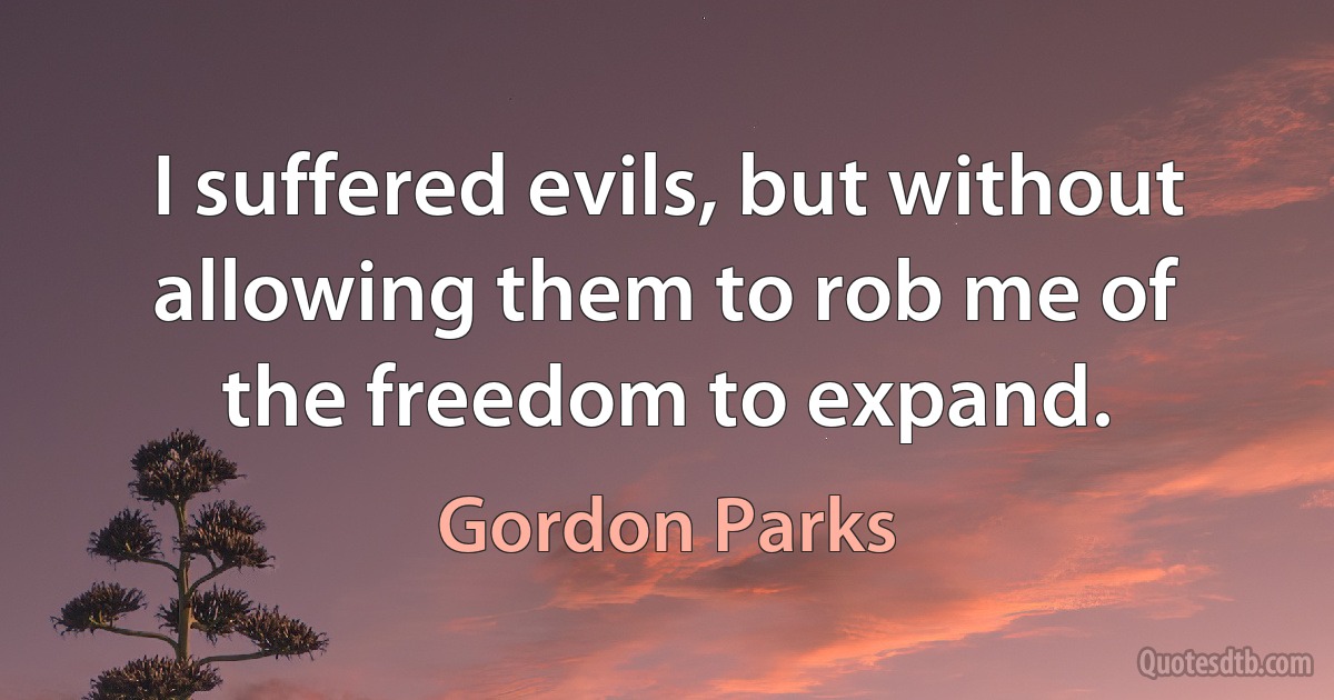 I suffered evils, but without allowing them to rob me of the freedom to expand. (Gordon Parks)