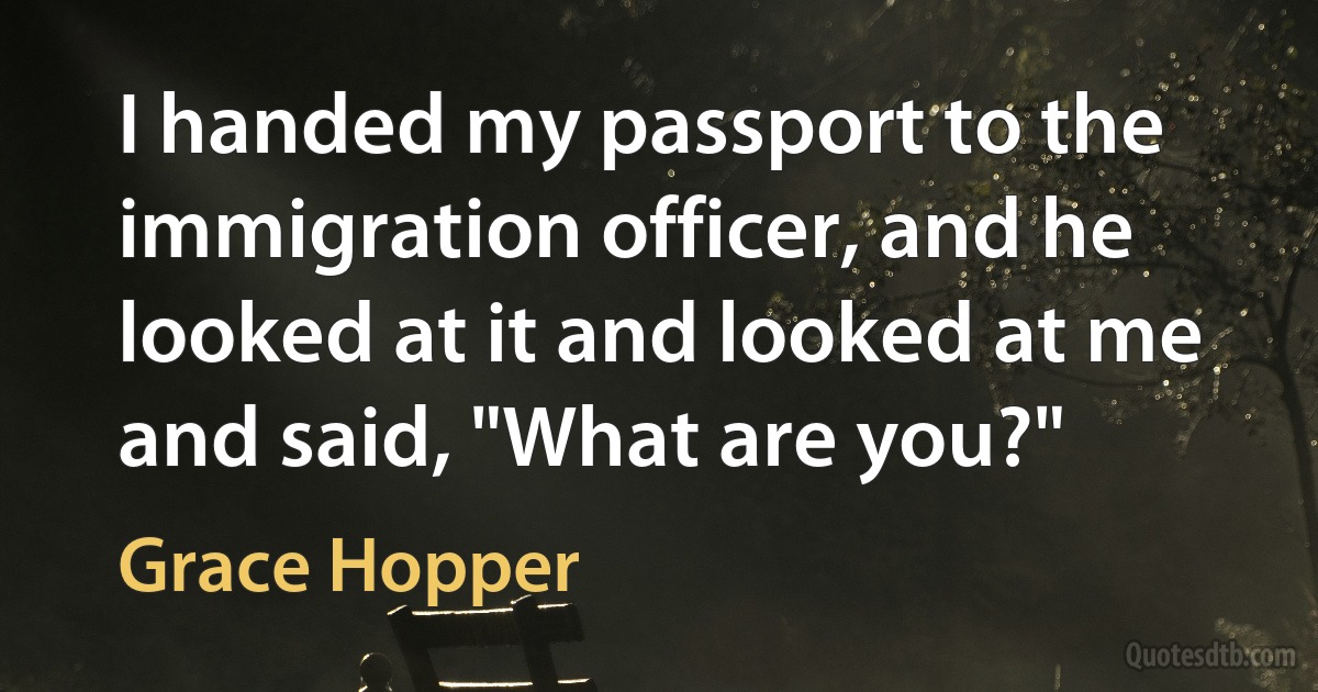 I handed my passport to the immigration officer, and he looked at it and looked at me and said, "What are you?" (Grace Hopper)