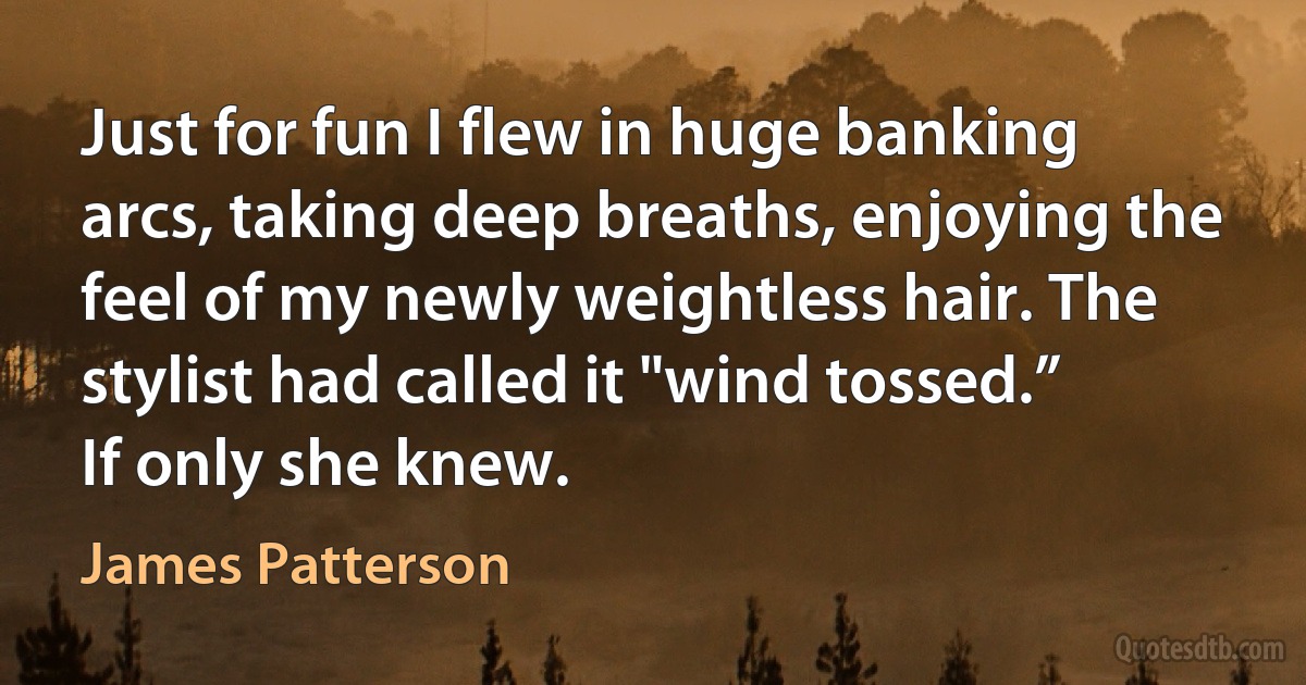 Just for fun I flew in huge banking arcs, taking deep breaths, enjoying the feel of my newly weightless hair. The stylist had called it "wind tossed.”
If only she knew. (James Patterson)