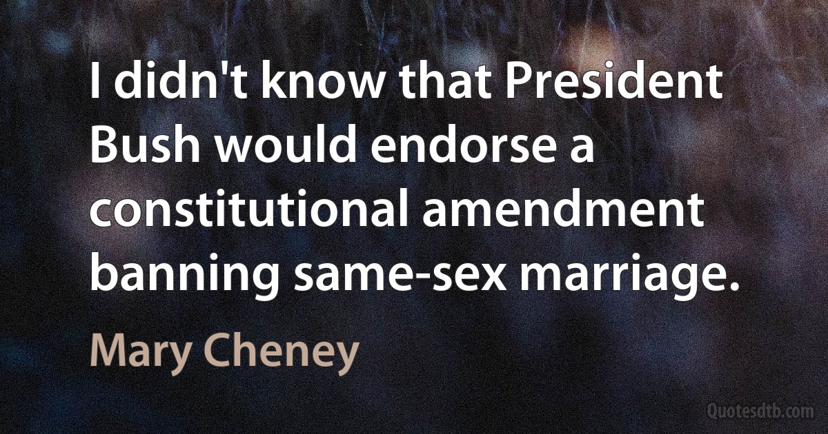 I didn't know that President Bush would endorse a constitutional amendment banning same-sex marriage. (Mary Cheney)