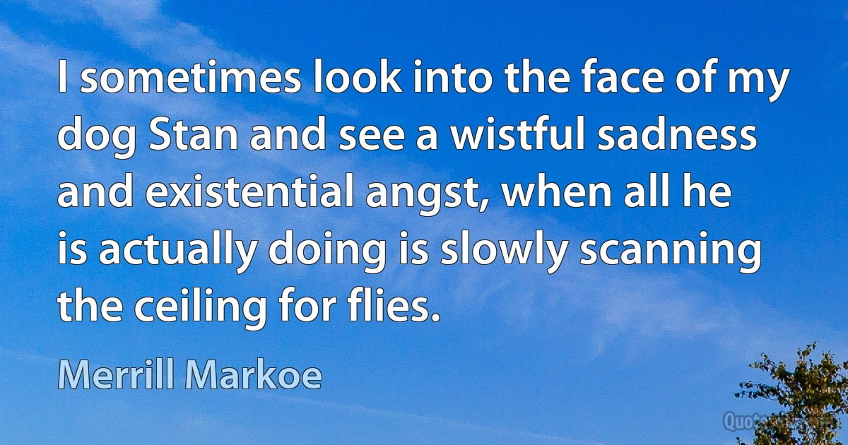 I sometimes look into the face of my dog Stan and see a wistful sadness and existential angst, when all he is actually doing is slowly scanning the ceiling for flies. (Merrill Markoe)