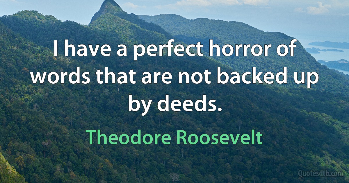 I have a perfect horror of words that are not backed up by deeds. (Theodore Roosevelt)