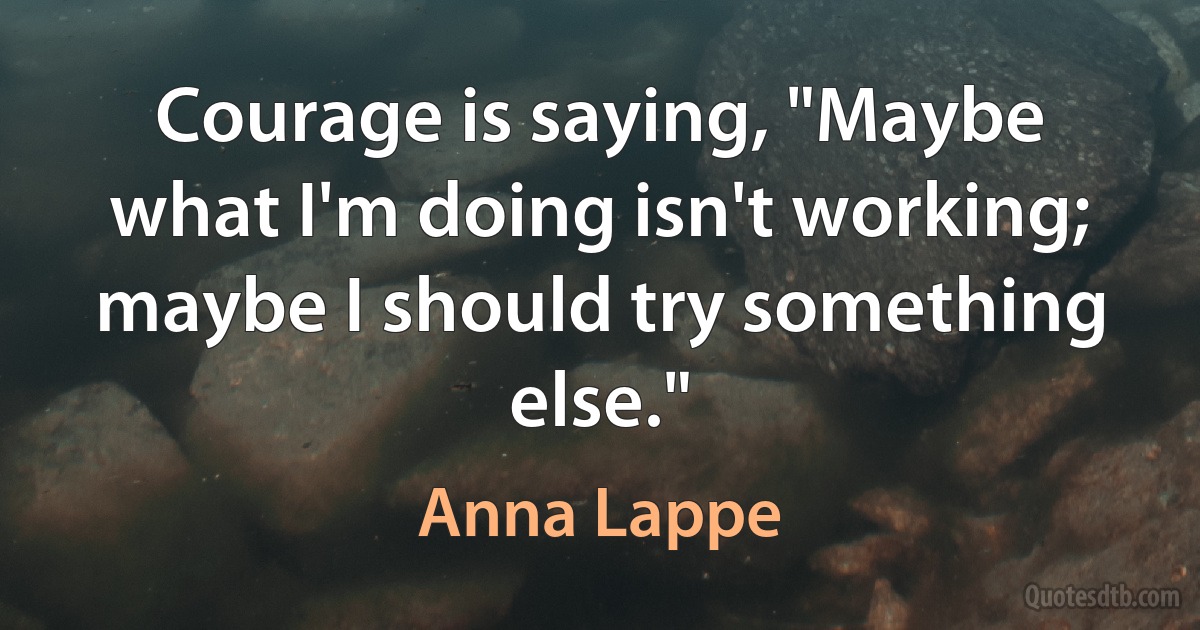 Courage is saying, "Maybe what I'm doing isn't working; maybe I should try something else." (Anna Lappe)