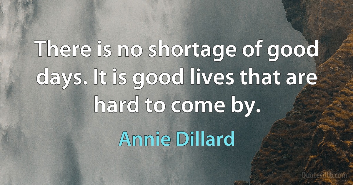 There is no shortage of good days. It is good lives that are hard to come by. (Annie Dillard)