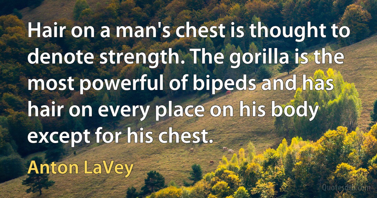 Hair on a man's chest is thought to denote strength. The gorilla is the most powerful of bipeds and has hair on every place on his body except for his chest. (Anton LaVey)