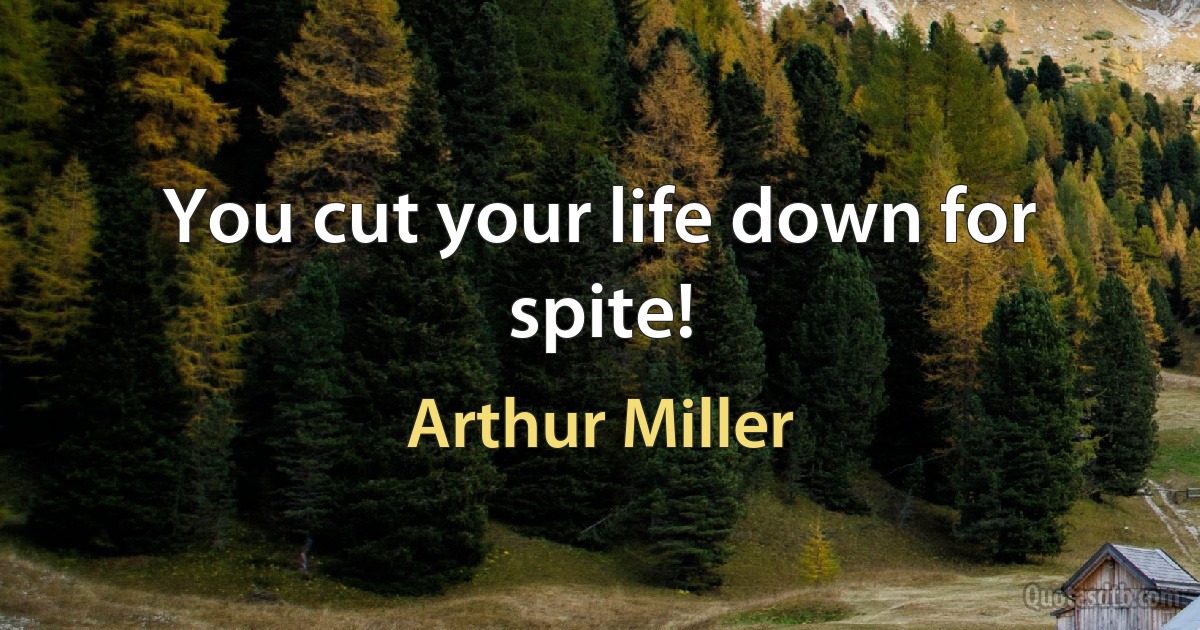 You cut your life down for spite! (Arthur Miller)