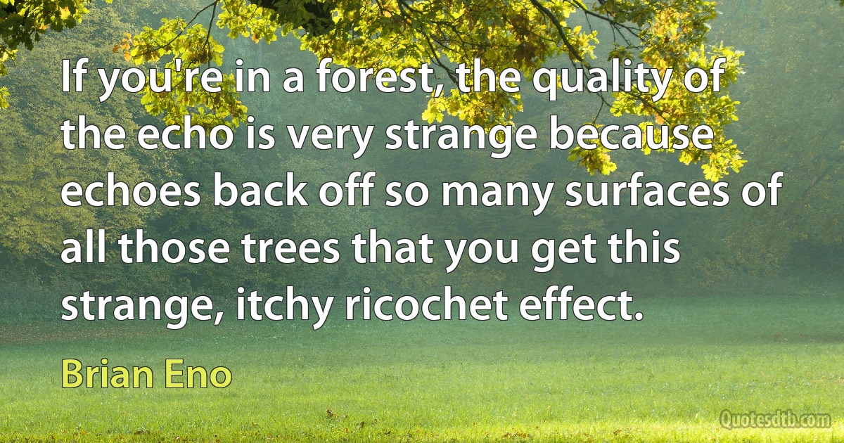 If you're in a forest, the quality of the echo is very strange because echoes back off so many surfaces of all those trees that you get this strange, itchy ricochet effect. (Brian Eno)