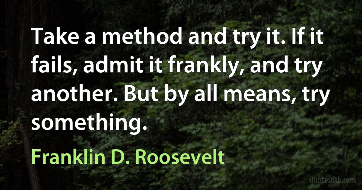 Take a method and try it. If it fails, admit it frankly, and try another. But by all means, try something. (Franklin D. Roosevelt)