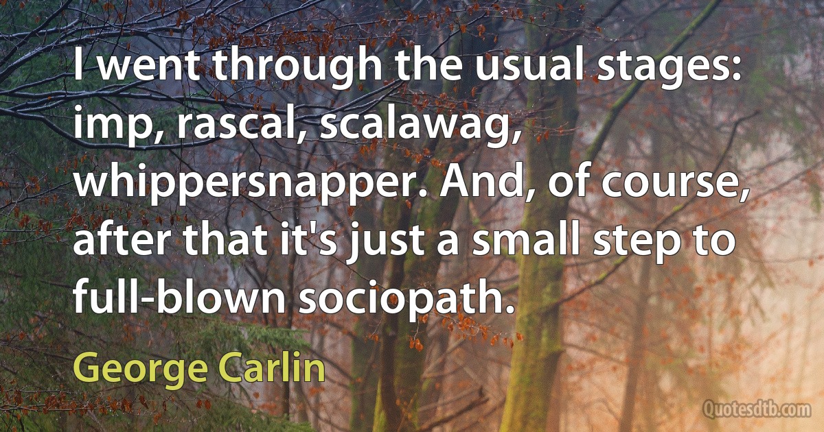 I went through the usual stages: imp, rascal, scalawag, whippersnapper. And, of course, after that it's just a small step to full-blown sociopath. (George Carlin)