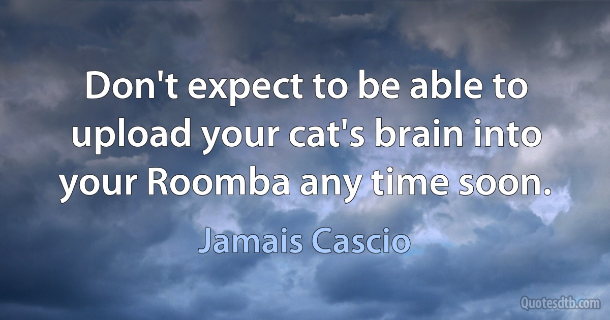 Don't expect to be able to upload your cat's brain into your Roomba any time soon. (Jamais Cascio)