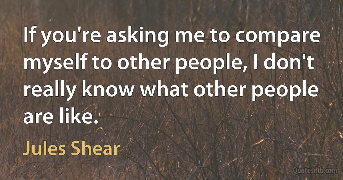 If you're asking me to compare myself to other people, I don't really know what other people are like. (Jules Shear)