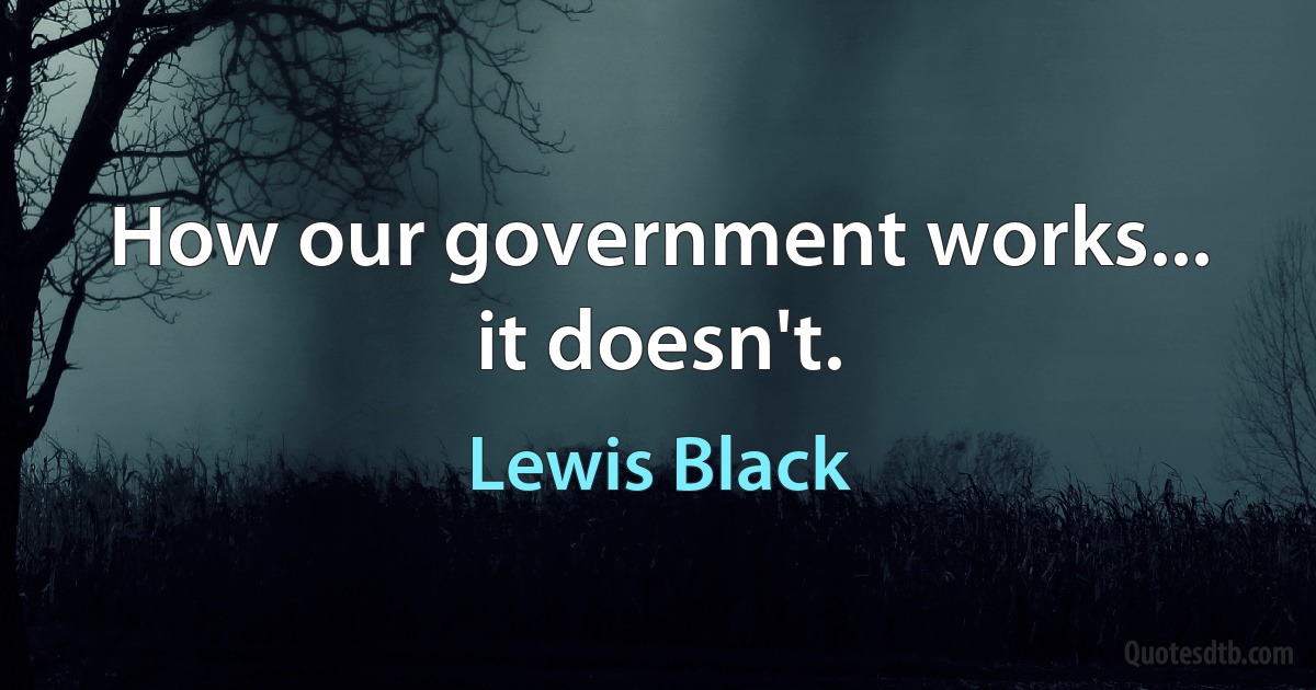 How our government works... it doesn't. (Lewis Black)