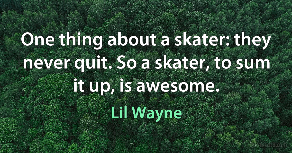 One thing about a skater: they never quit. So a skater, to sum it up, is awesome. (Lil Wayne)