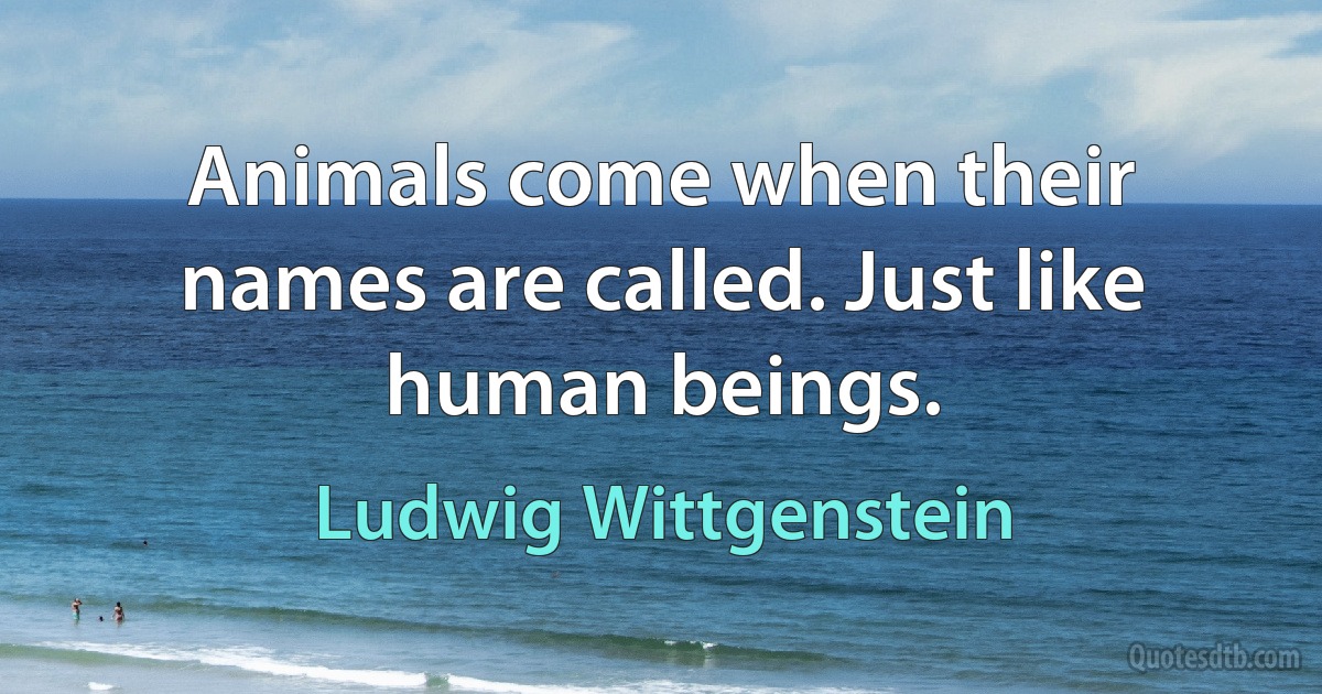 Animals come when their names are called. Just like human beings. (Ludwig Wittgenstein)