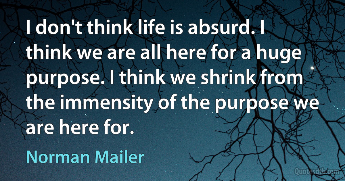 I don't think life is absurd. I think we are all here for a huge purpose. I think we shrink from the immensity of the purpose we are here for. (Norman Mailer)