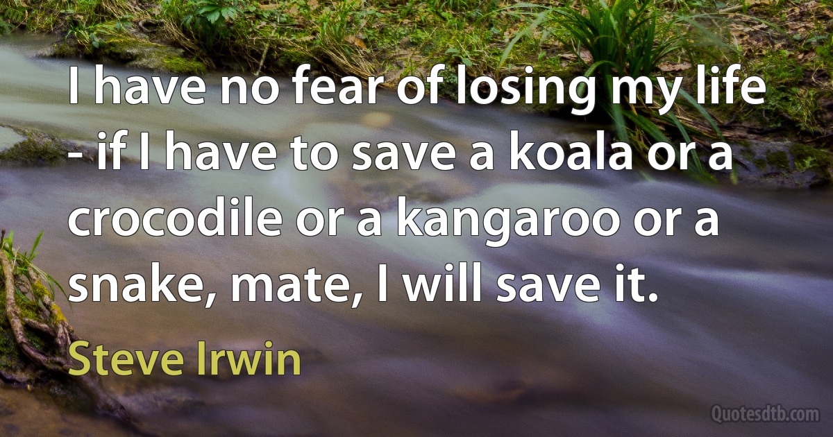 I have no fear of losing my life - if I have to save a koala or a crocodile or a kangaroo or a snake, mate, I will save it. (Steve Irwin)