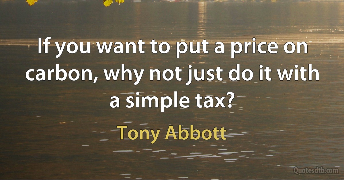 If you want to put a price on carbon, why not just do it with a simple tax? (Tony Abbott)