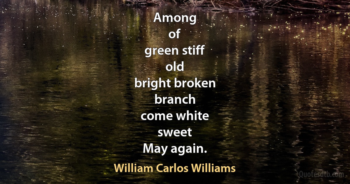 Among
of
green stiff
old
bright broken
branch
come white
sweet
May again. (William Carlos Williams)