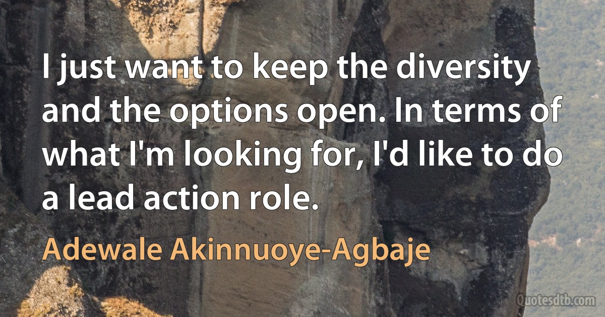 I just want to keep the diversity and the options open. In terms of what I'm looking for, I'd like to do a lead action role. (Adewale Akinnuoye-Agbaje)