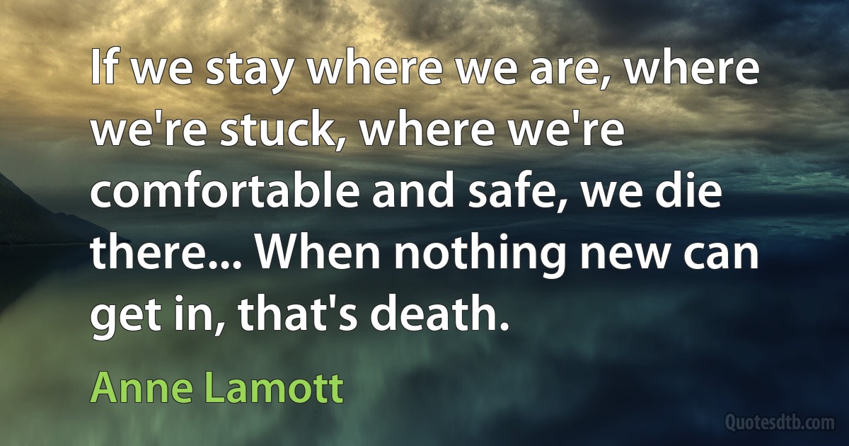 If we stay where we are, where we're stuck, where we're comfortable and safe, we die there... When nothing new can get in, that's death. (Anne Lamott)