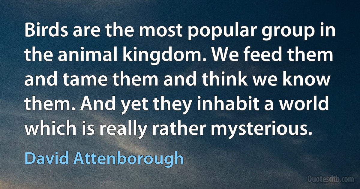 Birds are the most popular group in the animal kingdom. We feed them and tame them and think we know them. And yet they inhabit a world which is really rather mysterious. (David Attenborough)