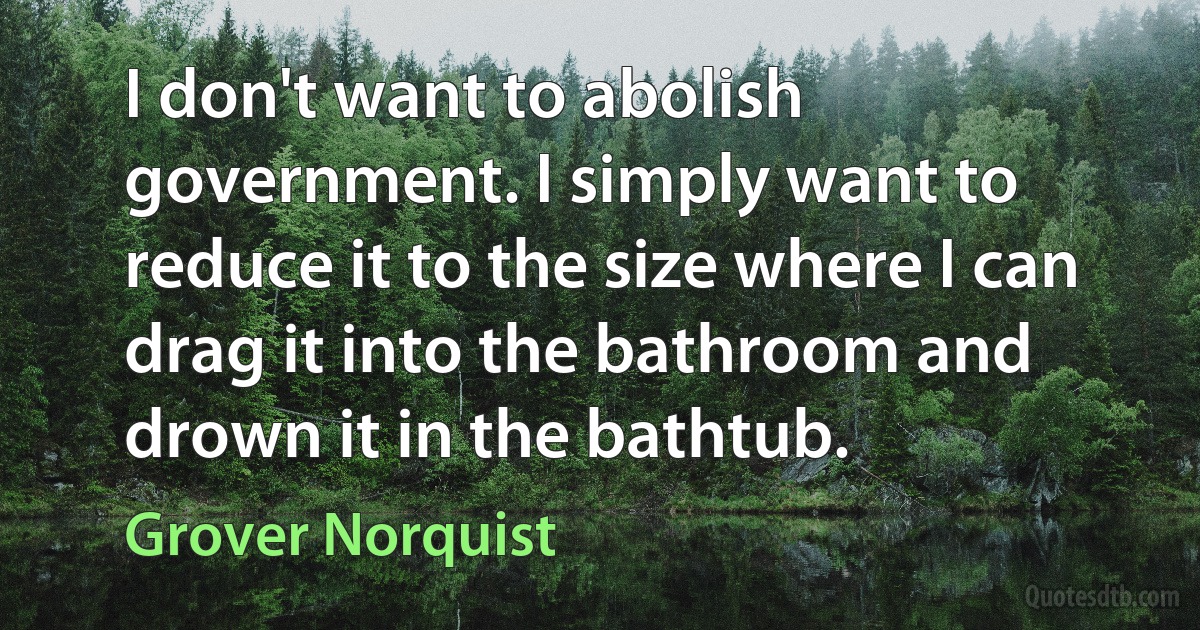 I don't want to abolish government. I simply want to reduce it to the size where I can drag it into the bathroom and drown it in the bathtub. (Grover Norquist)