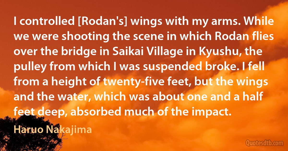 I controlled [Rodan's] wings with my arms. While we were shooting the scene in which Rodan flies over the bridge in Saikai Village in Kyushu, the pulley from which I was suspended broke. I fell from a height of twenty-five feet, but the wings and the water, which was about one and a half feet deep, absorbed much of the impact. (Haruo Nakajima)