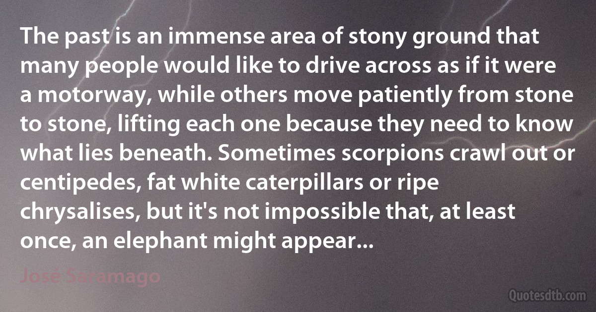 The past is an immense area of stony ground that many people would like to drive across as if it were a motorway, while others move patiently from stone to stone, lifting each one because they need to know what lies beneath. Sometimes scorpions crawl out or centipedes, fat white caterpillars or ripe chrysalises, but it's not impossible that, at least once, an elephant might appear... (José Saramago)